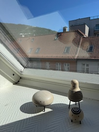 From the windows you can see Mount Floyen.