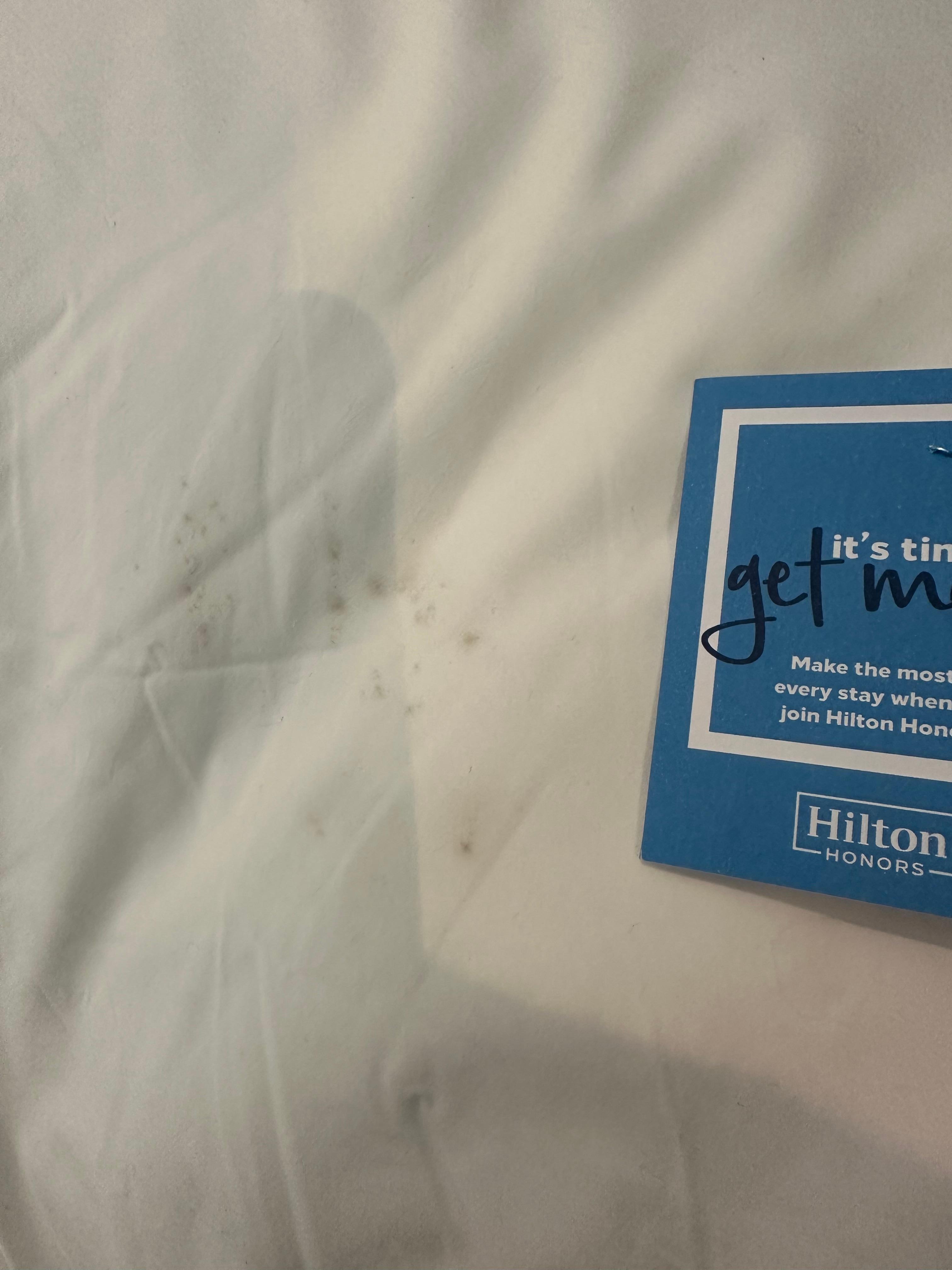 Mildew stains on pillow