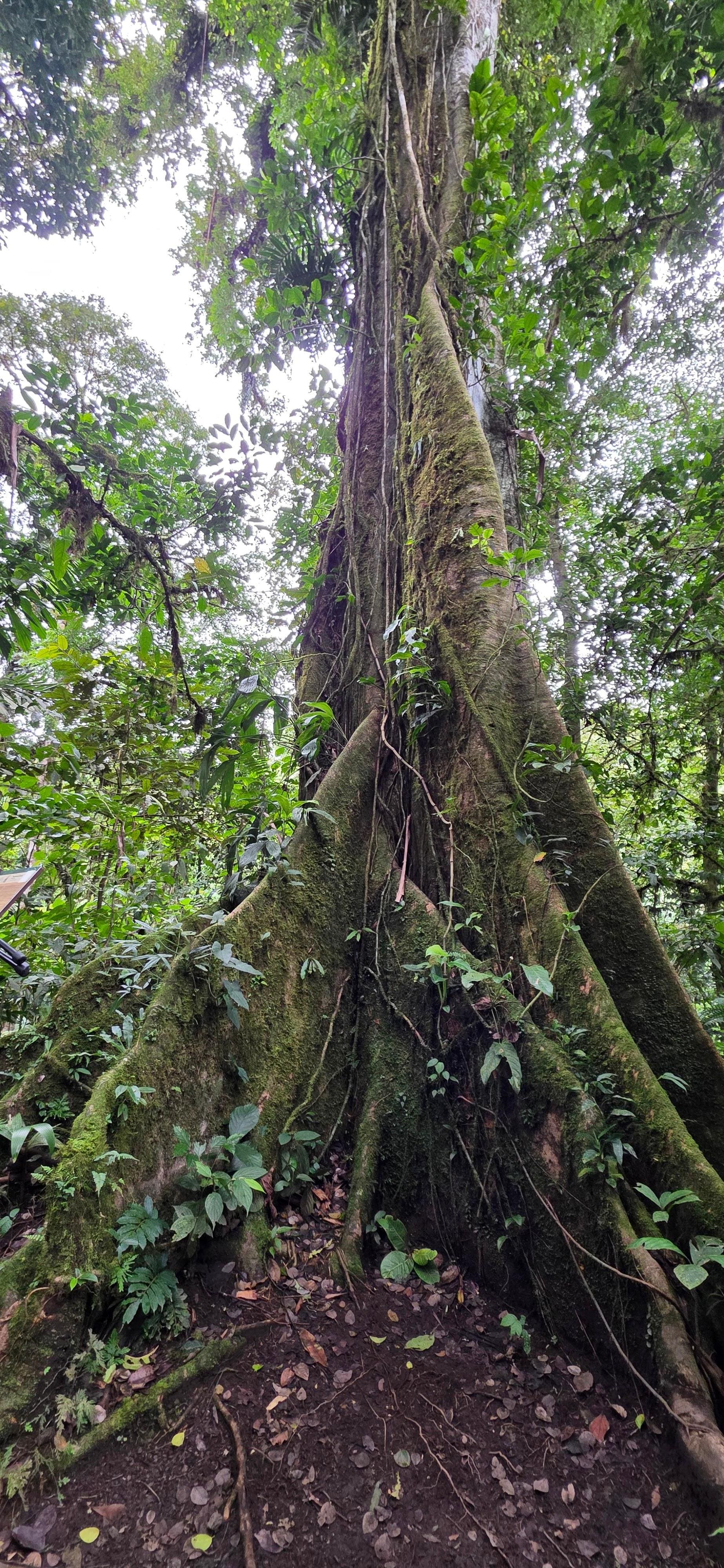 On the Puma Trek hike