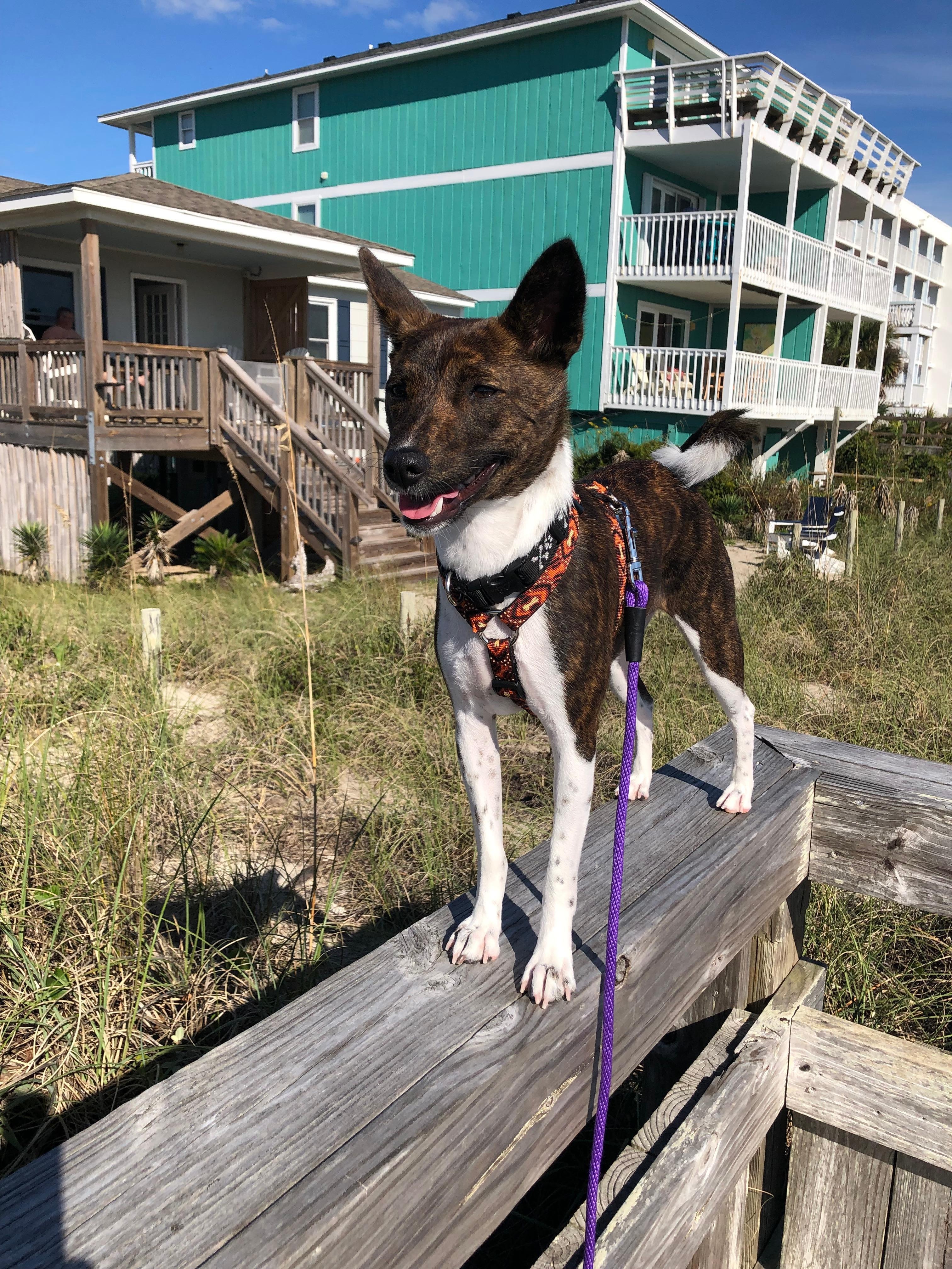 My girl with house in background 🥰