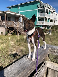 My girl with house in background 🥰