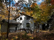 A view of the back of the house from the AMAZING fenced in yard.