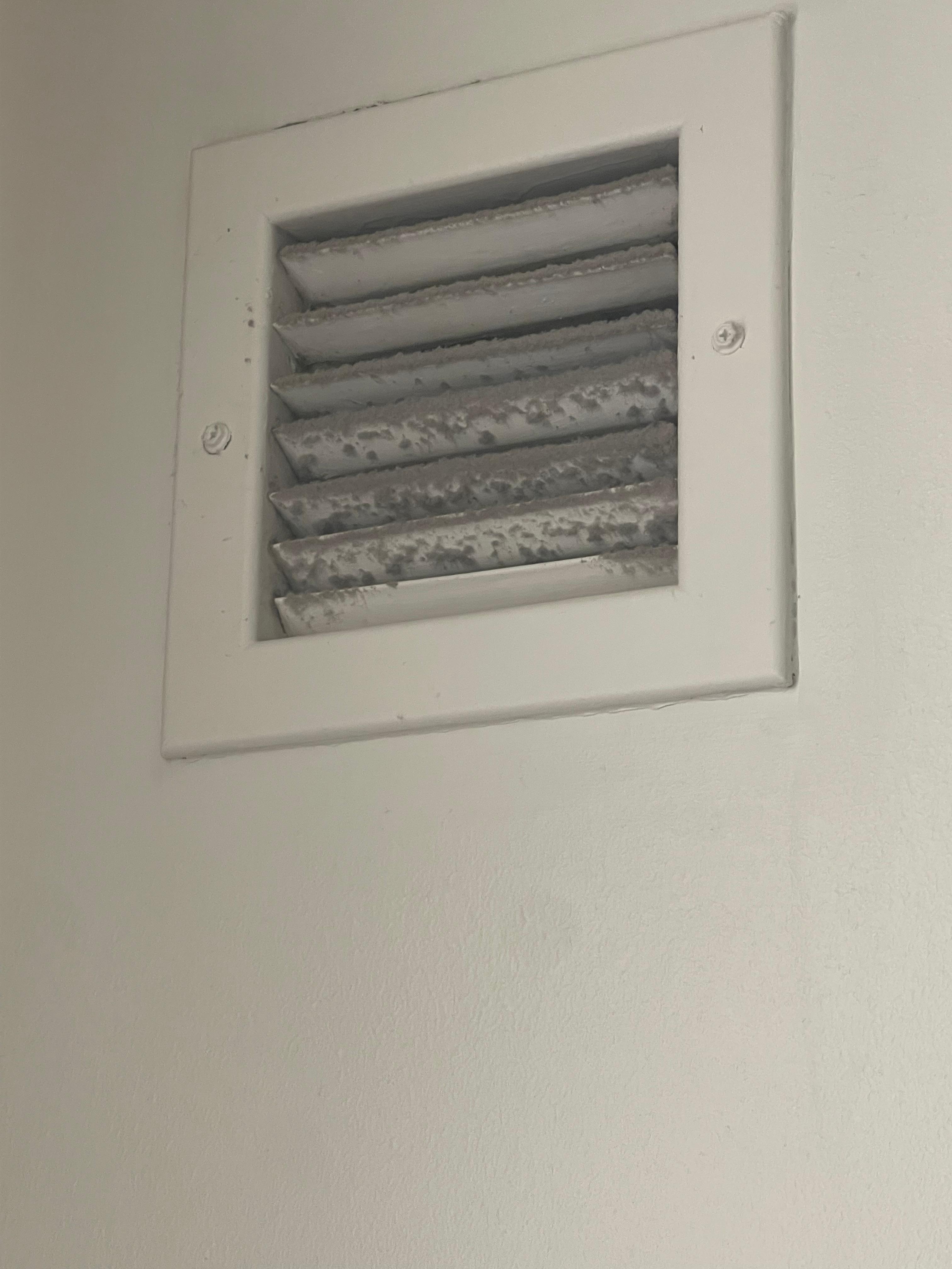 The bathroom vent was full of dust