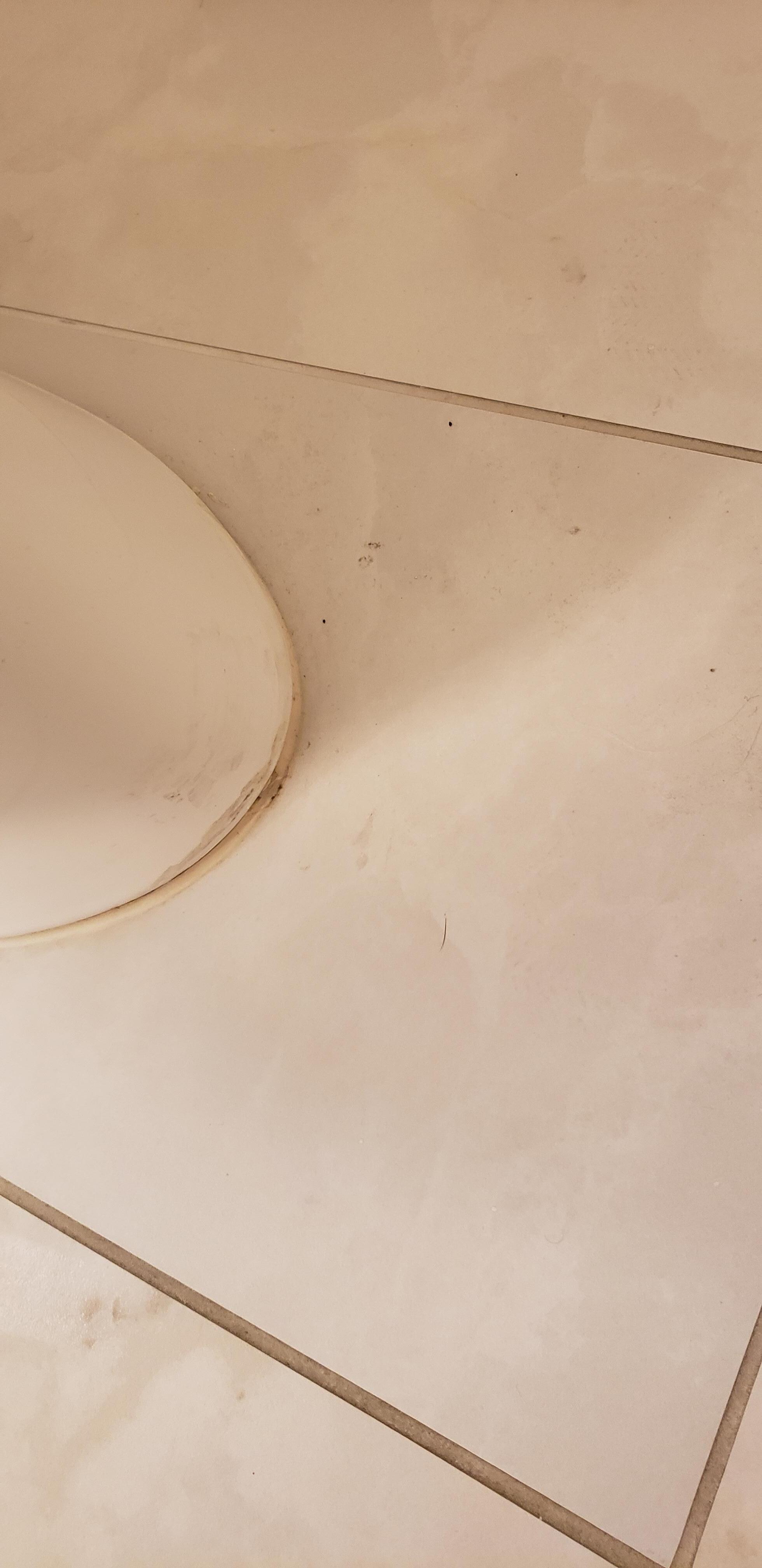 Floor around toilet dirty, yellow ring at base of toilet