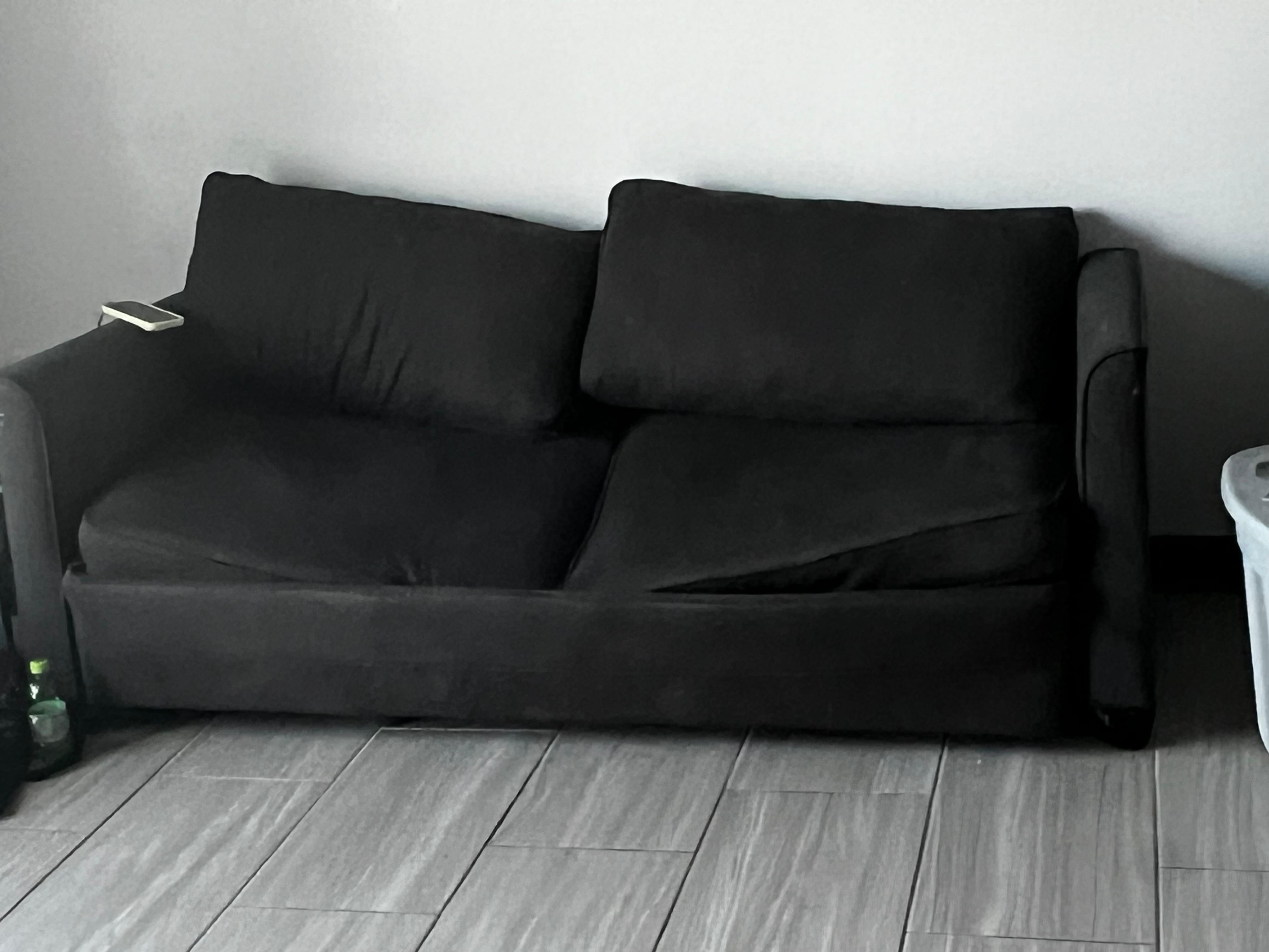 Couch that pulls out into a bed 