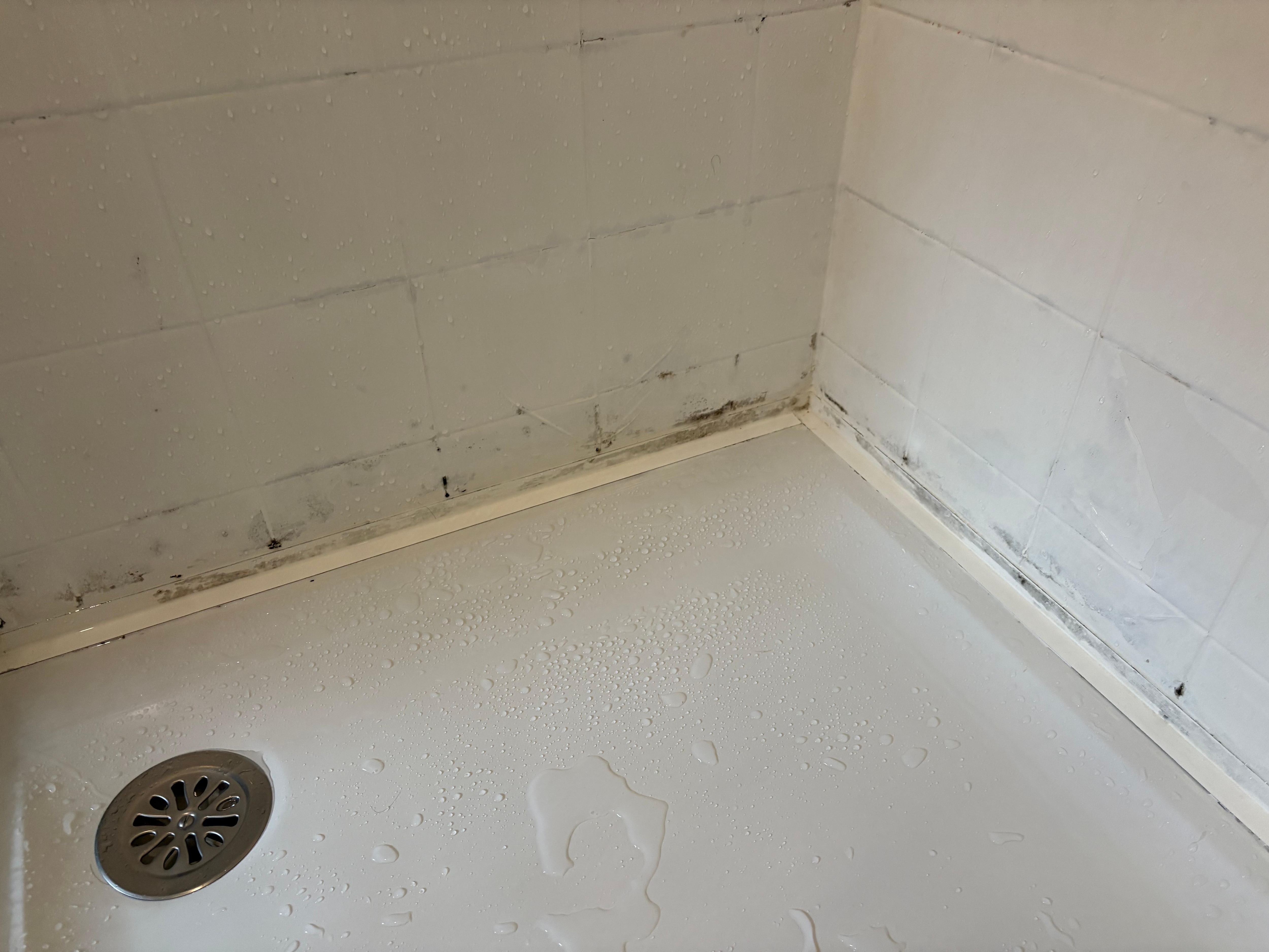 Mold in shower that proprietors try to cover up