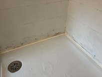 Mold in shower that proprietors try to cover up