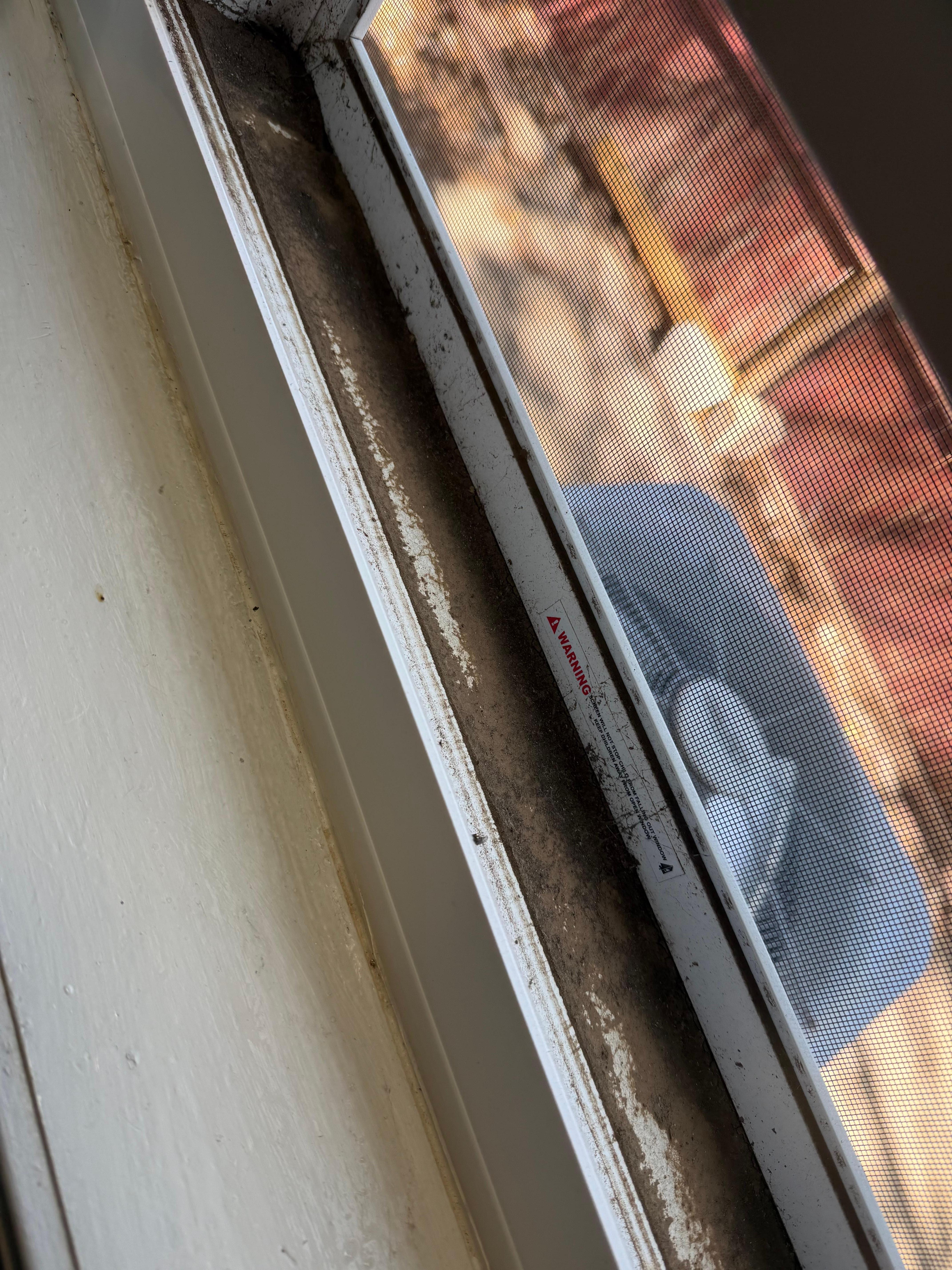 Caked dirt/dust in window sills