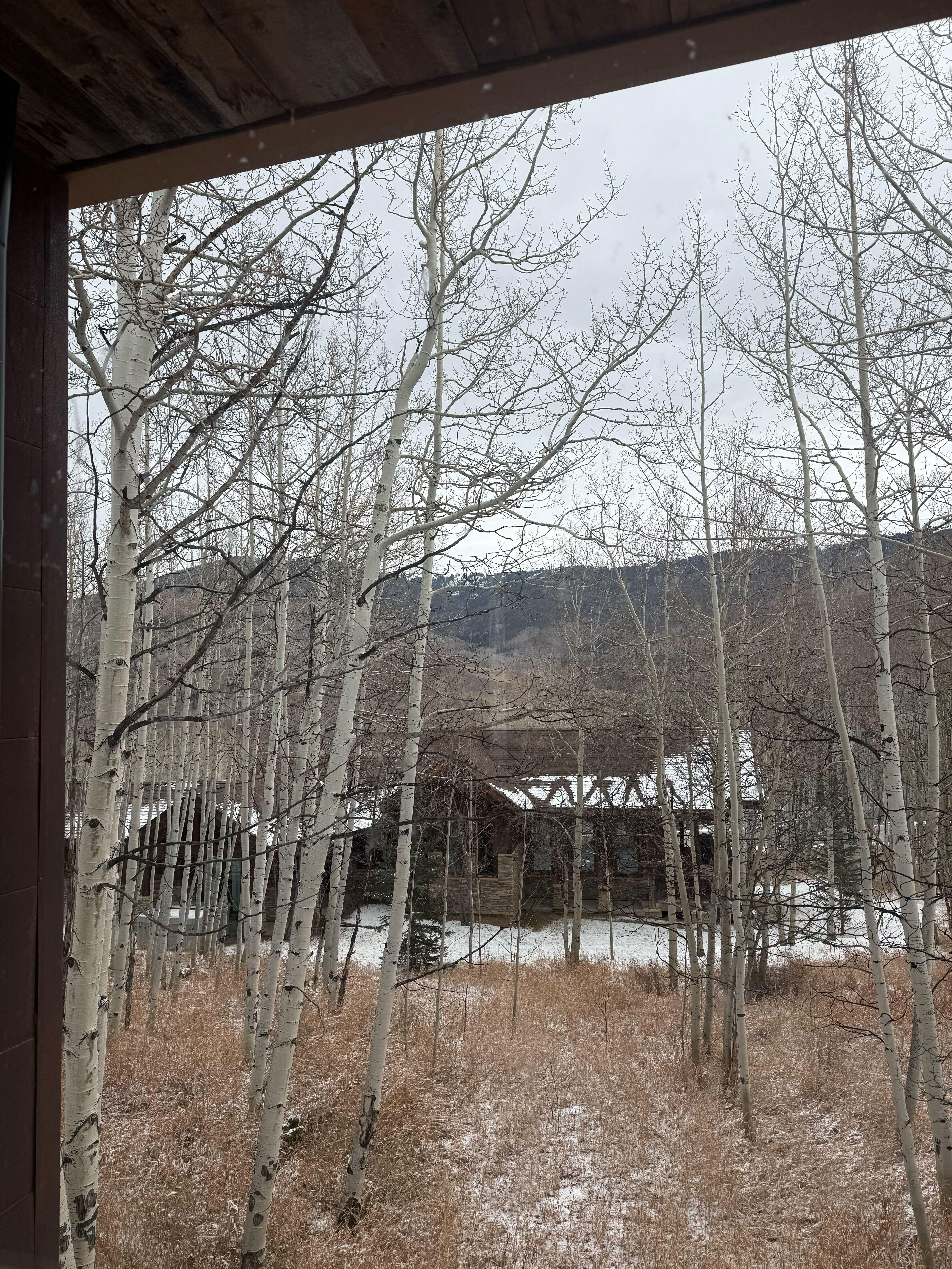View of the peaks from the living/dining room