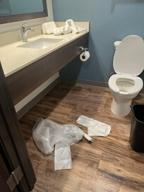Bienvenida que tú crees?