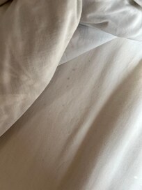 Taches sur les draps
