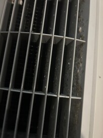 Mold and dust on AC