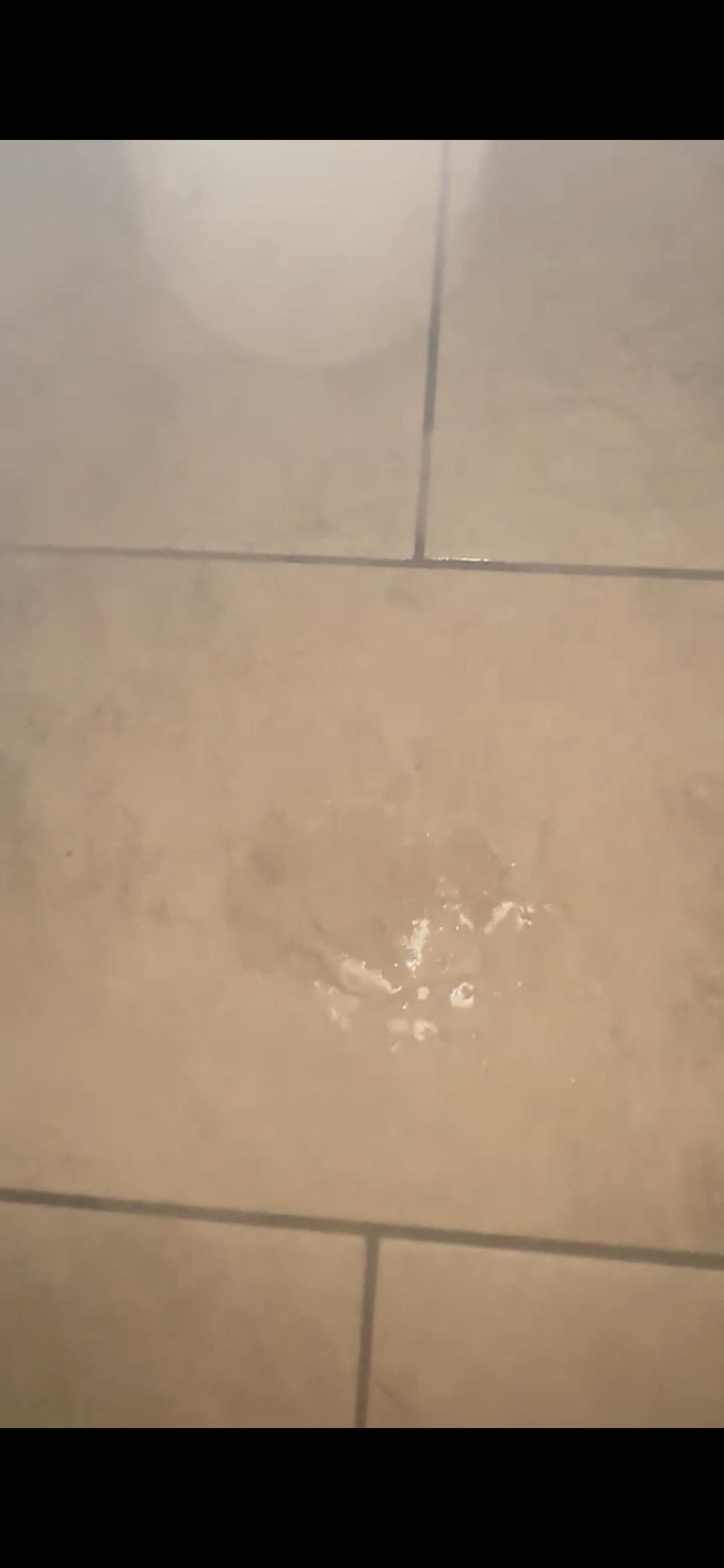 This was what was there in the morning after our first night. My partner almost slipped on it. 