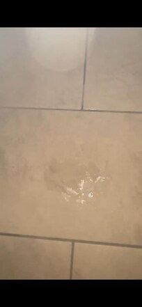 This was what was there in the morning after our first night. My partner almost slipped on it.