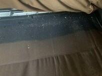 Pull out bed