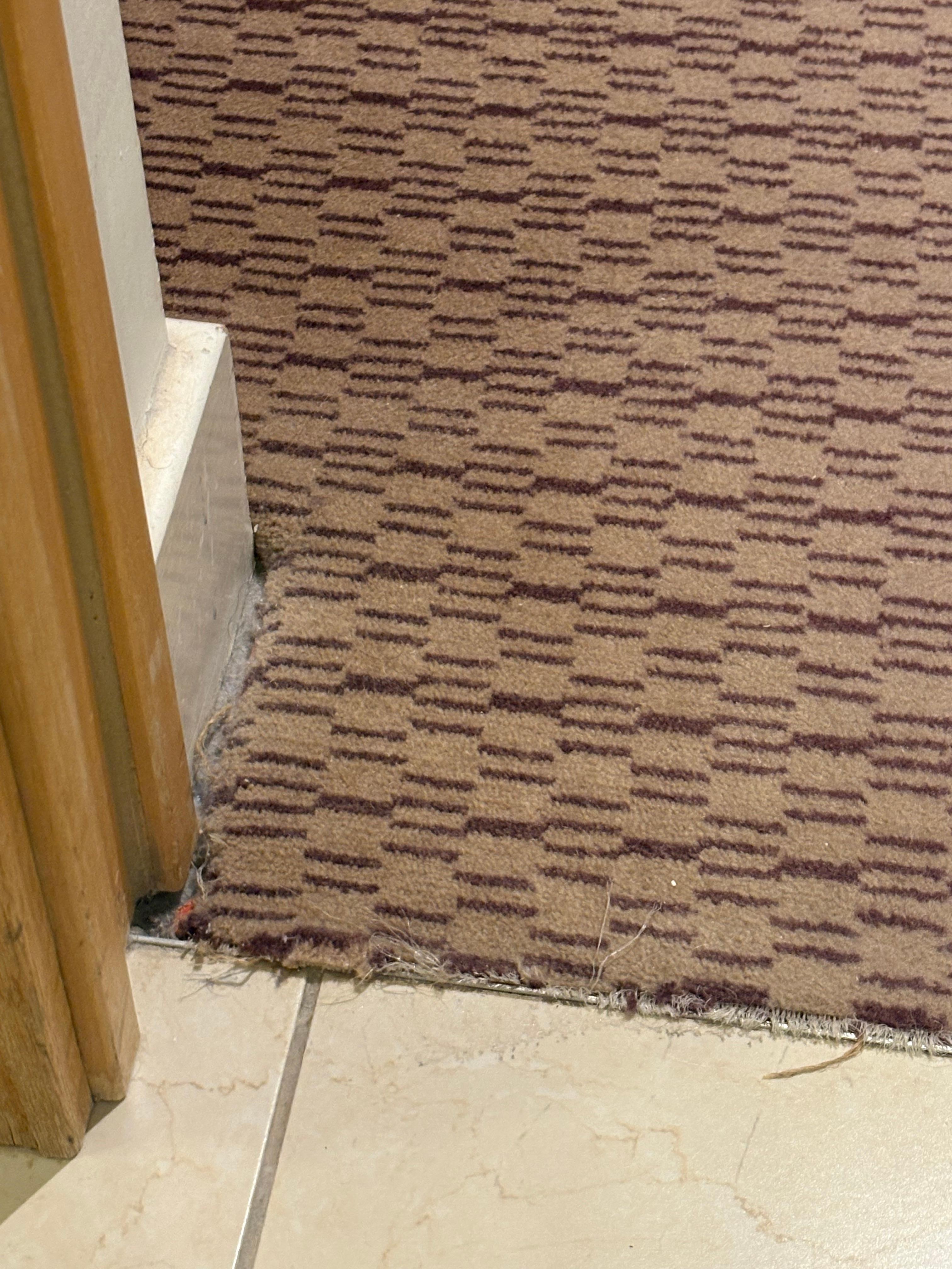 Old tired carpets in bed rooms 