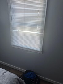 Broken blinds in master bedroom