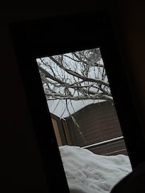 From the bedroom!
