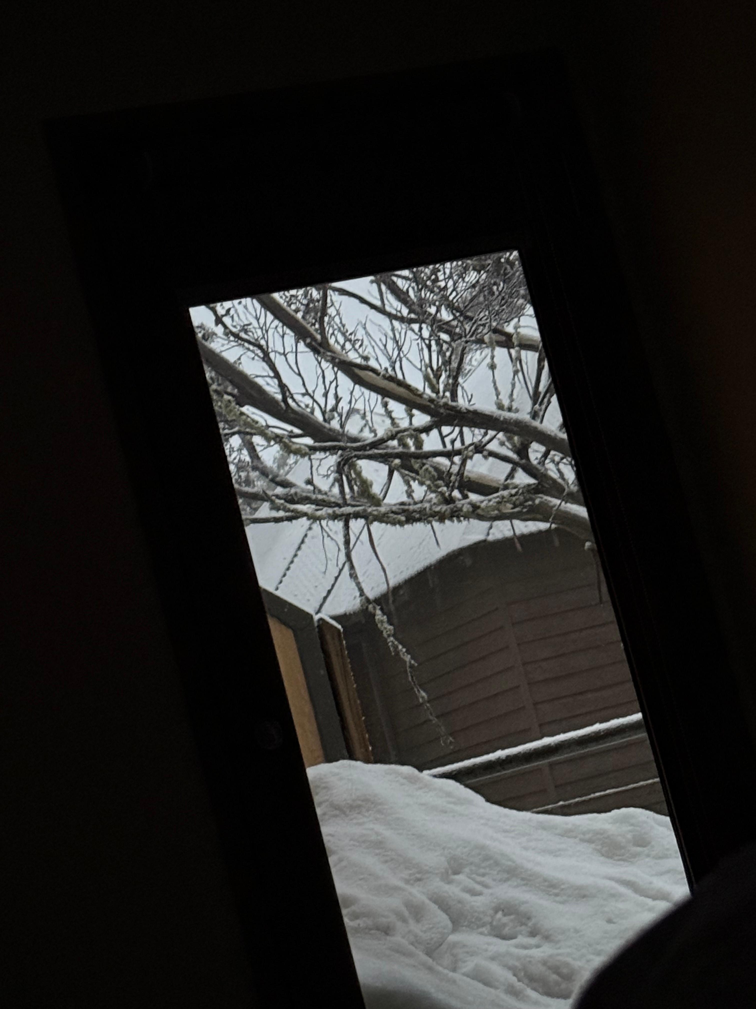 From the bedroom!