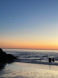 Next to proposal rock