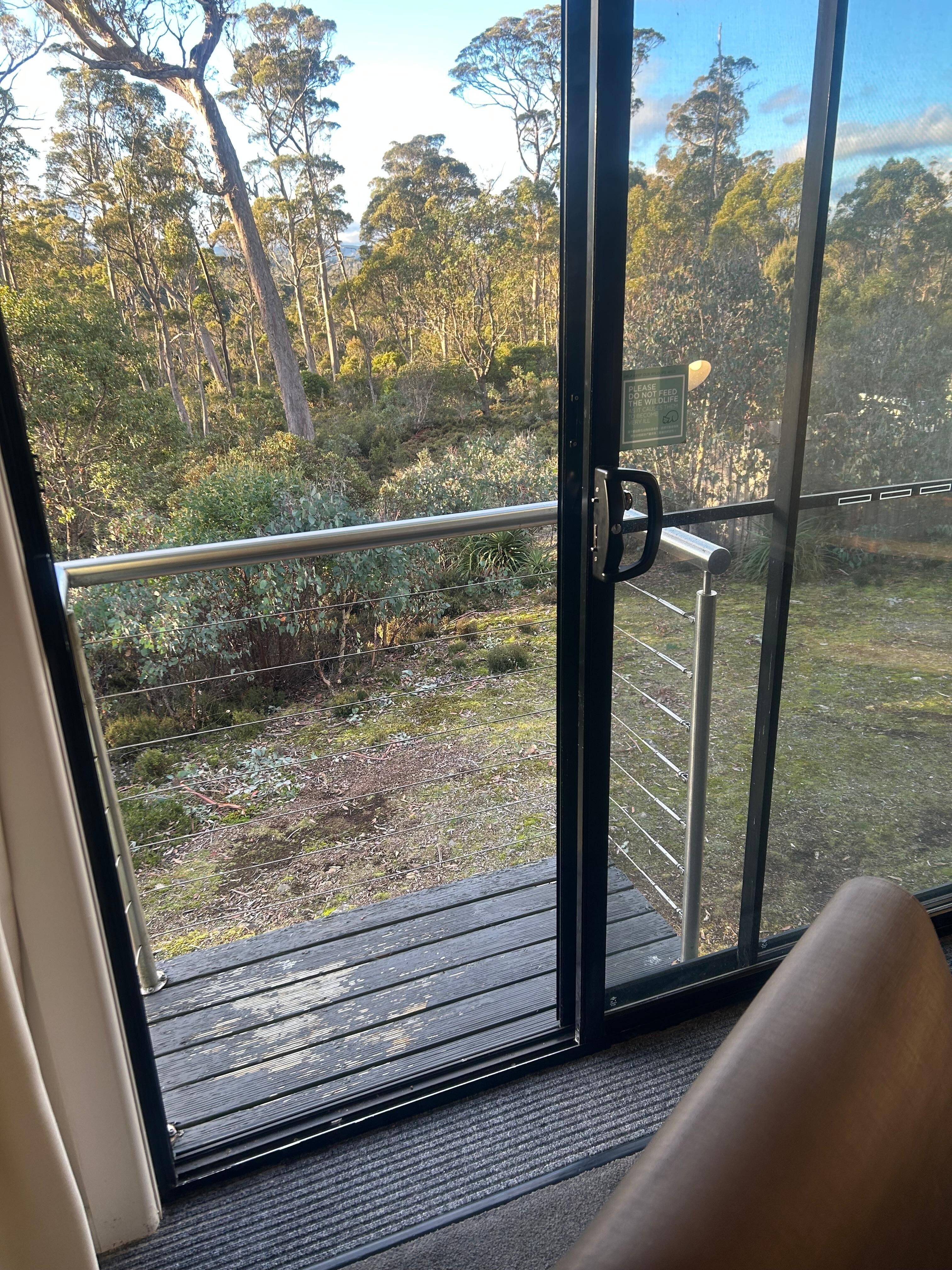  View from our room