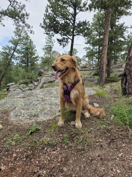 Kona at Mt Rushmore