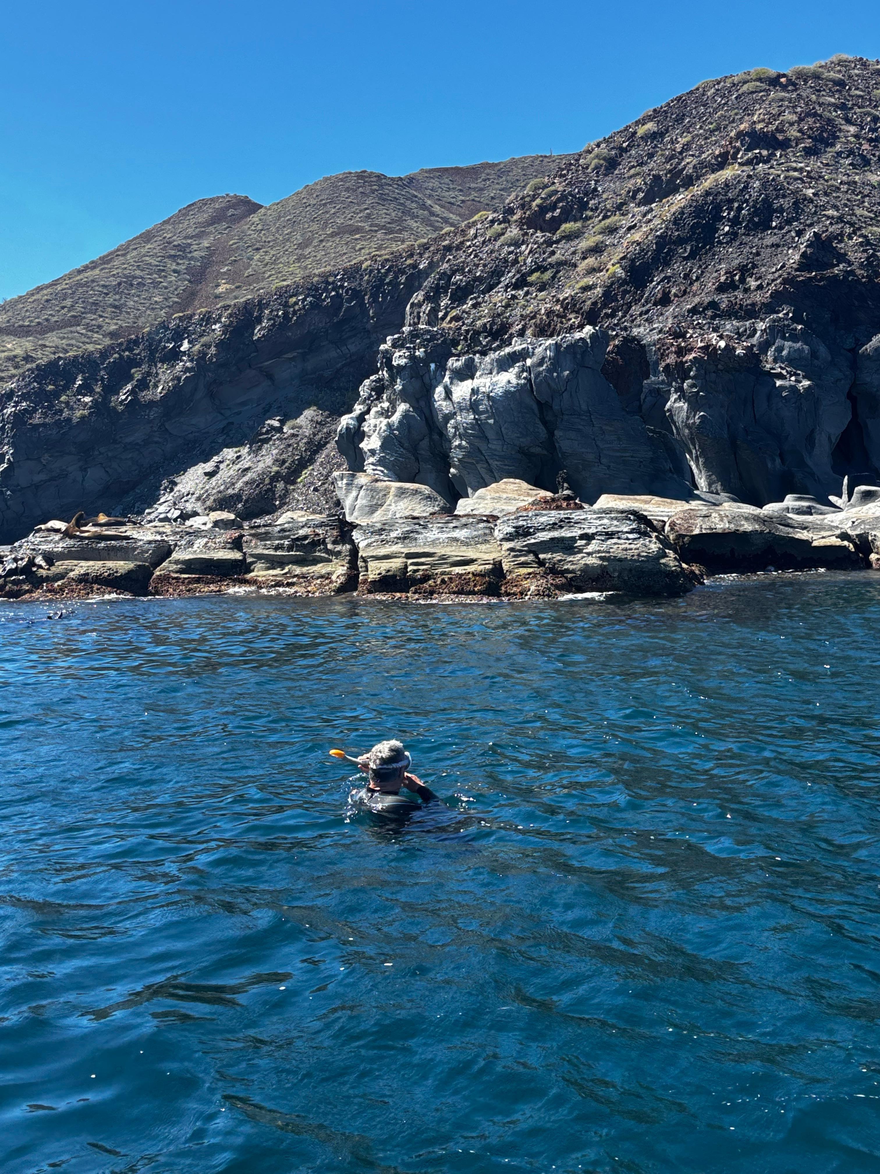 Coronado Island Snorkel
