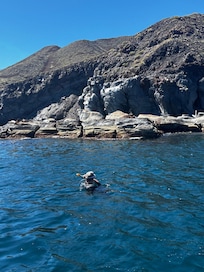 Coronado Island Snorkel
