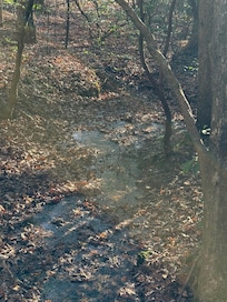 Nice creek that runs through the backyard
