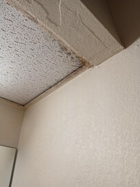 Mold