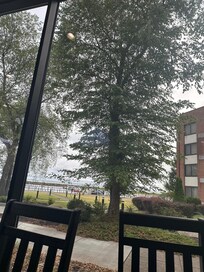 Breakfast time
Nice view