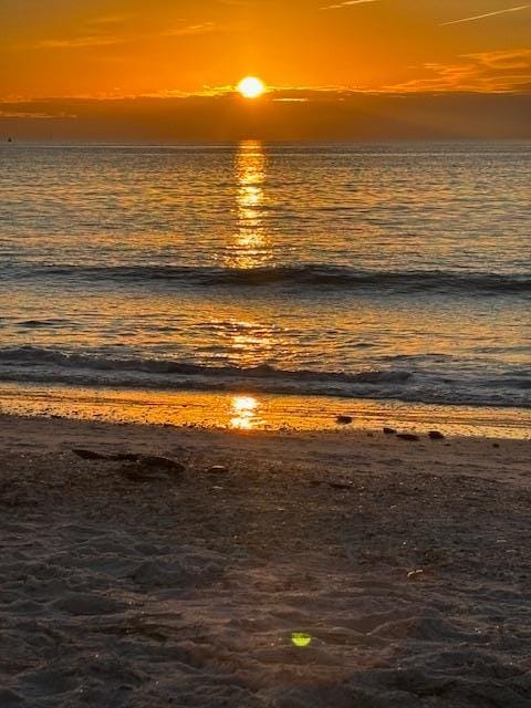 This was the view every night.