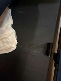 Pet hair inside pull out couch.