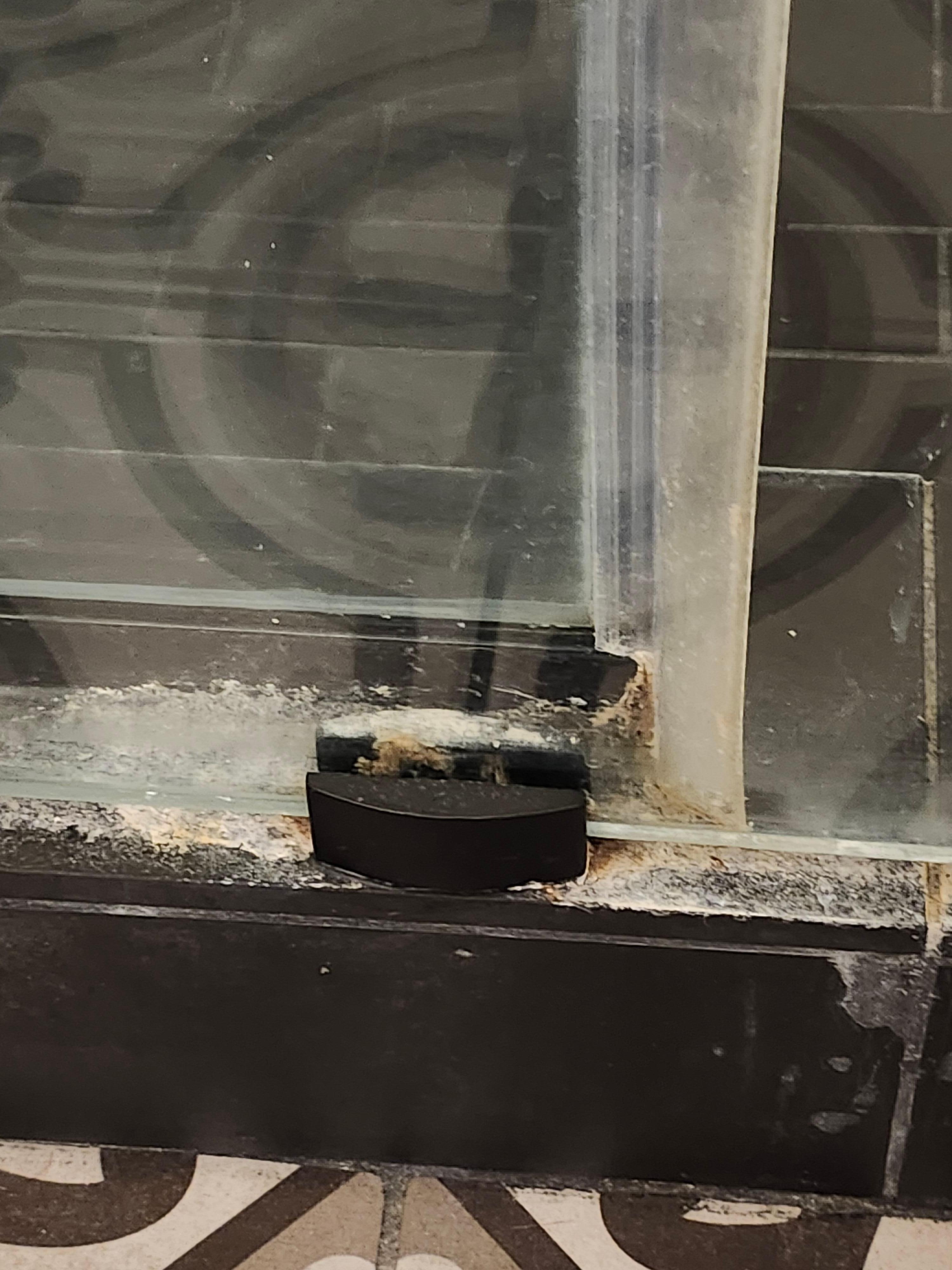 Black Mold Around Shower Dooor