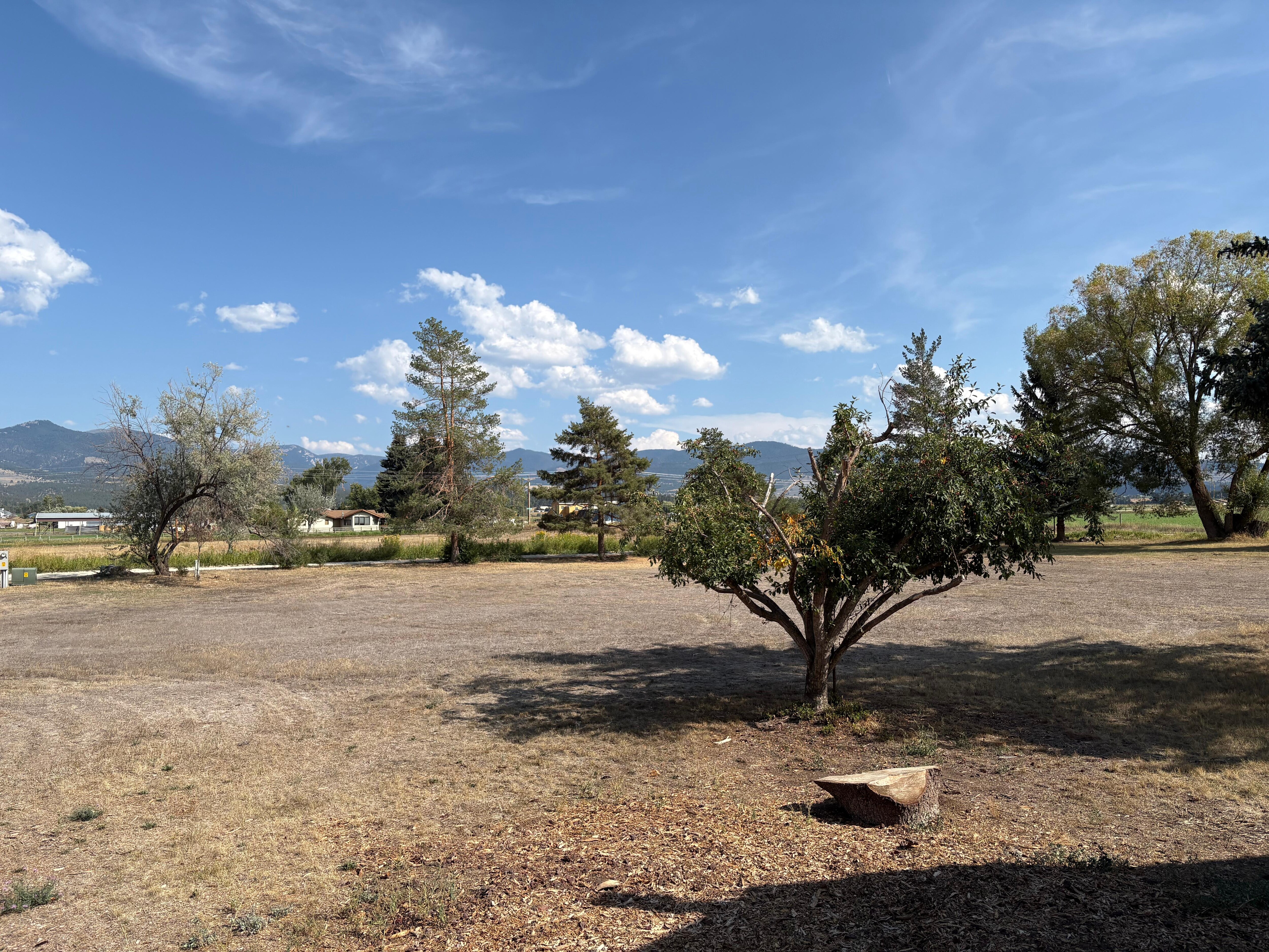 Side yard view from patio deck.