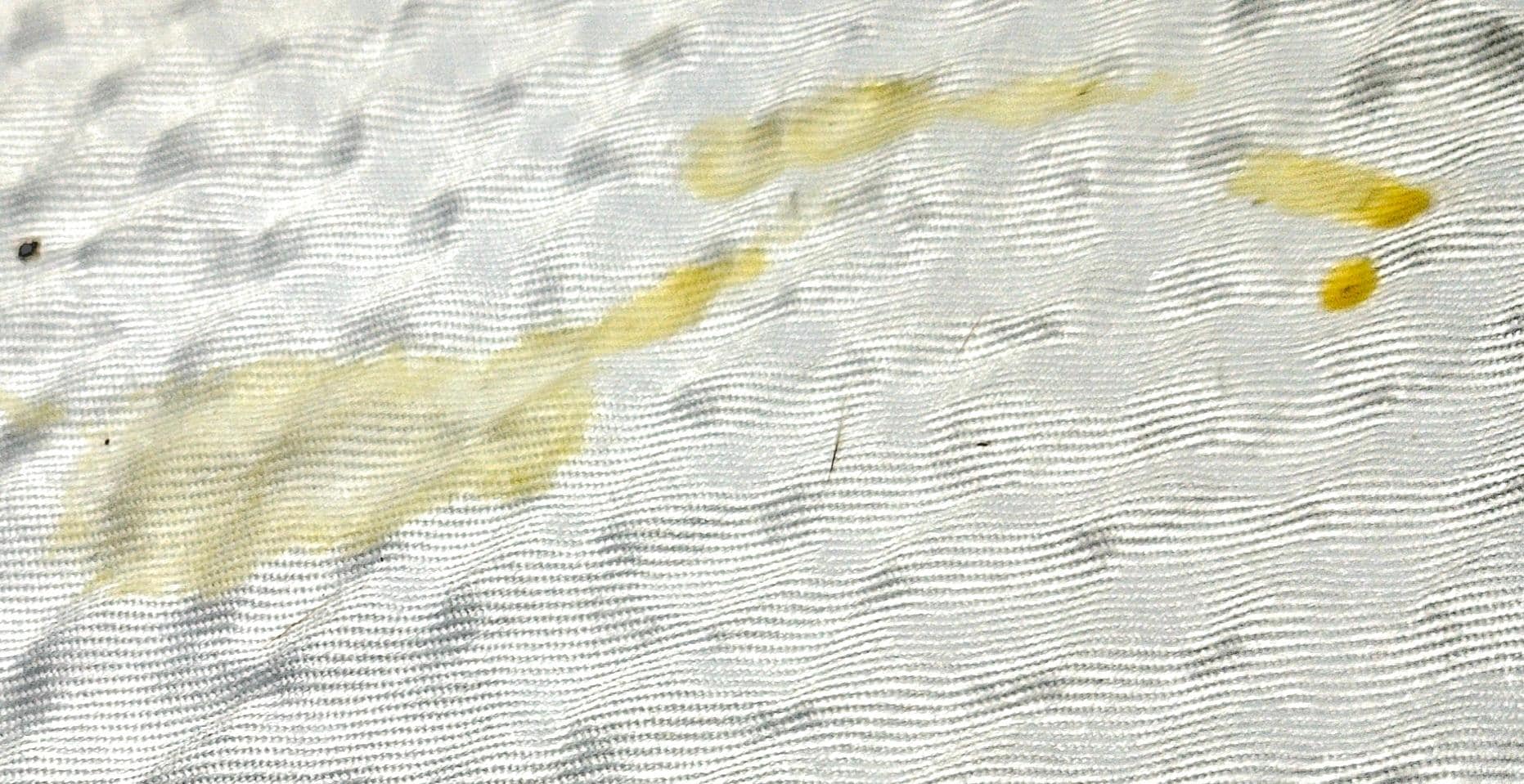Yellow substance on bed spread