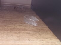 Used retainer, dead bugs in the background - bedside