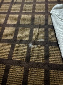 Stain on carpet