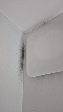 Mould around vent