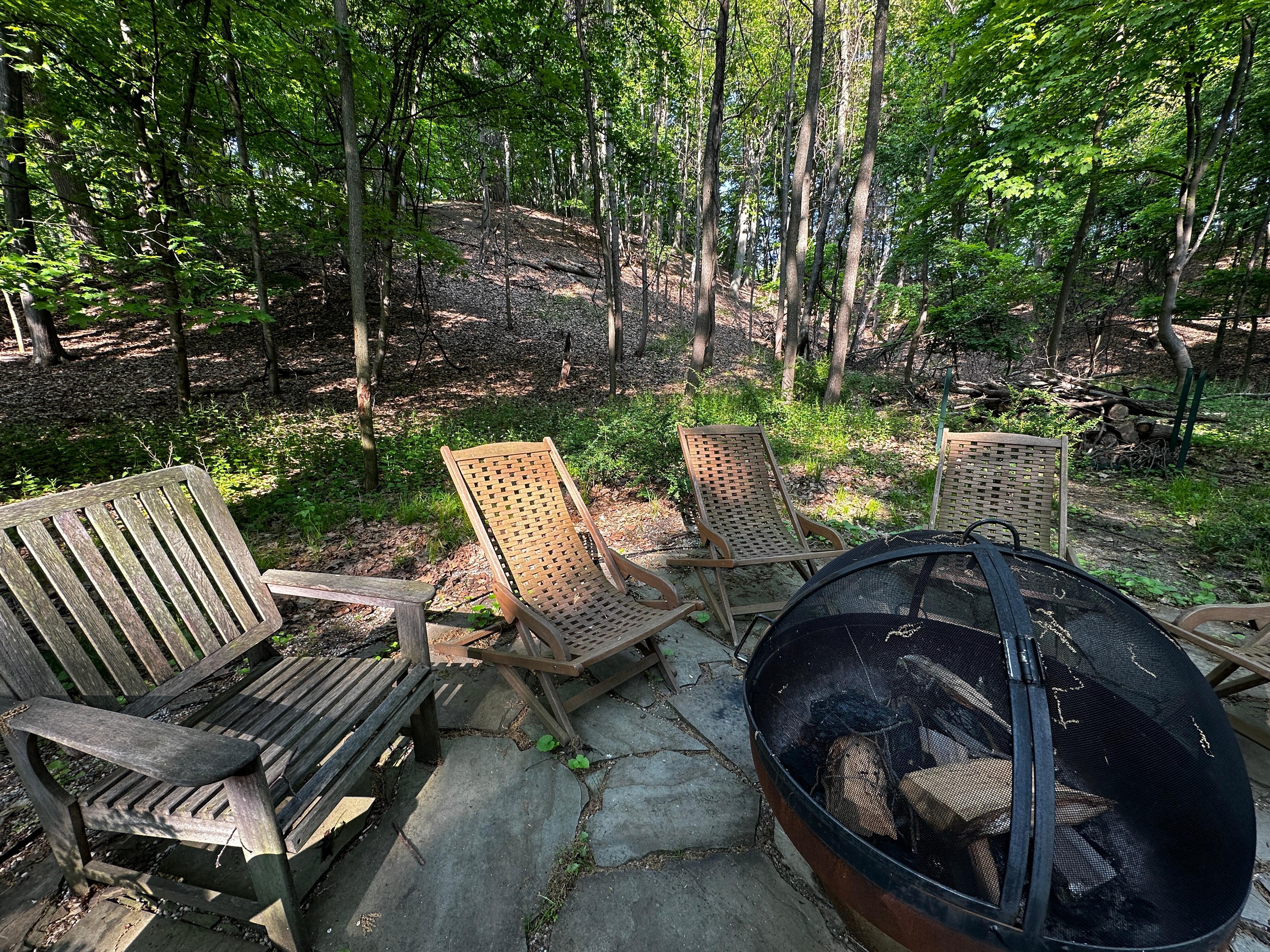 Fire pit with wooded back yard
