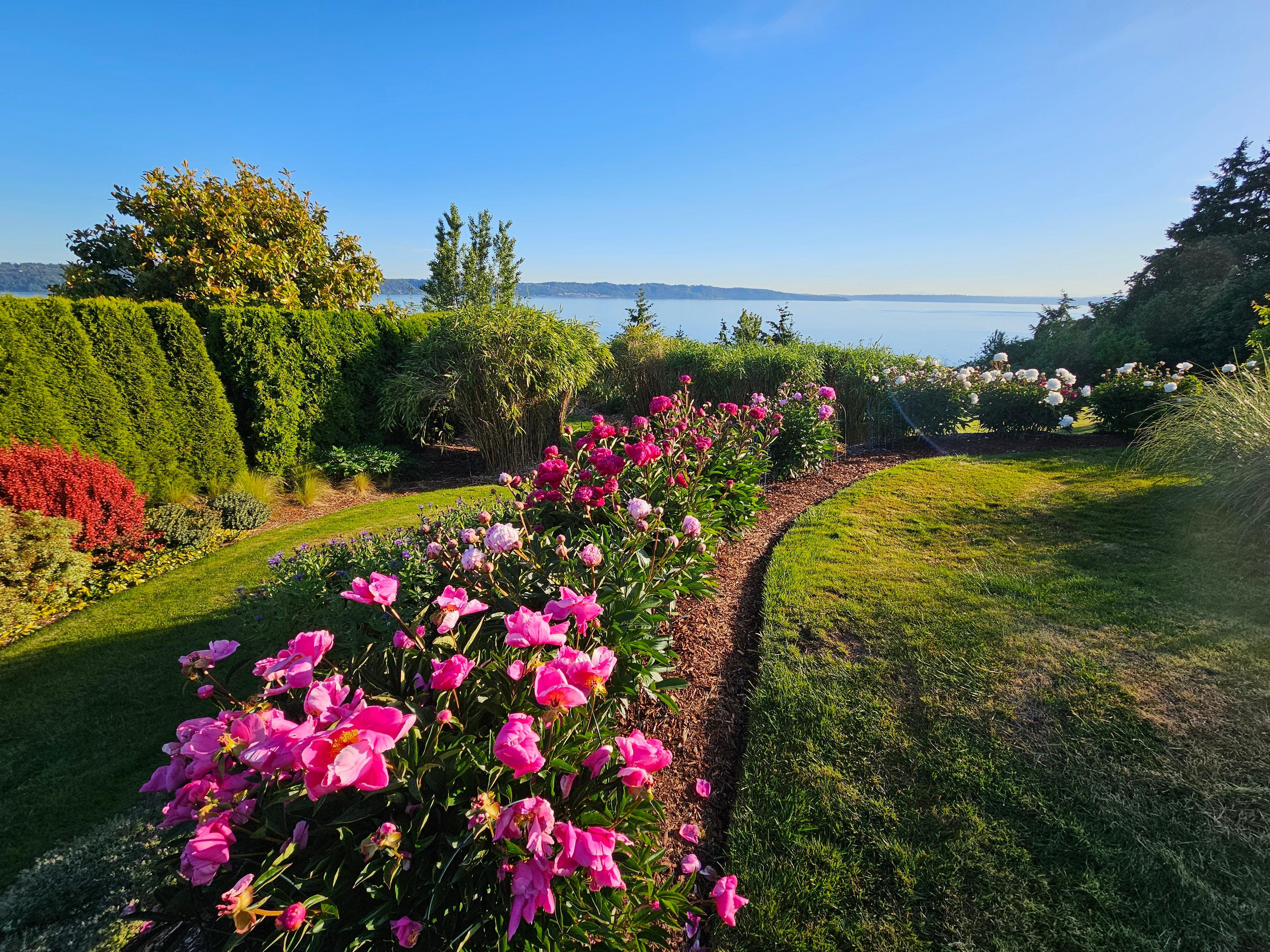 Beautiful peonies and so many more flowers in manicured gardens!