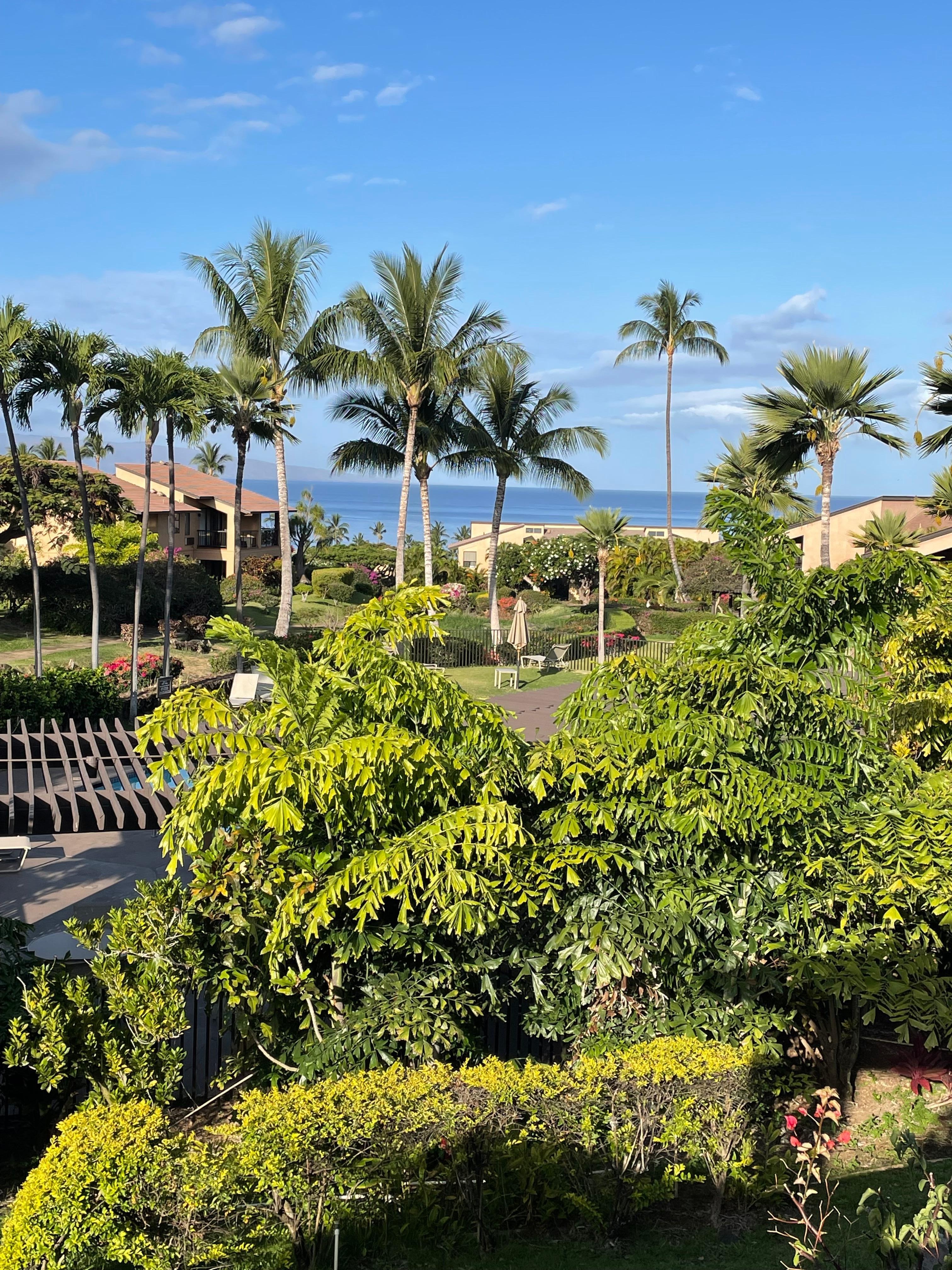 View from lanai in May. 