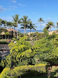 View from lanai in May.
