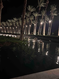 Front of property where the flamingos are