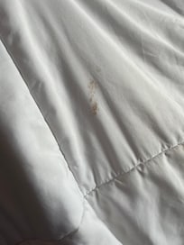 The blanket was dirty.