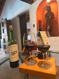 Wine in the luxury suit