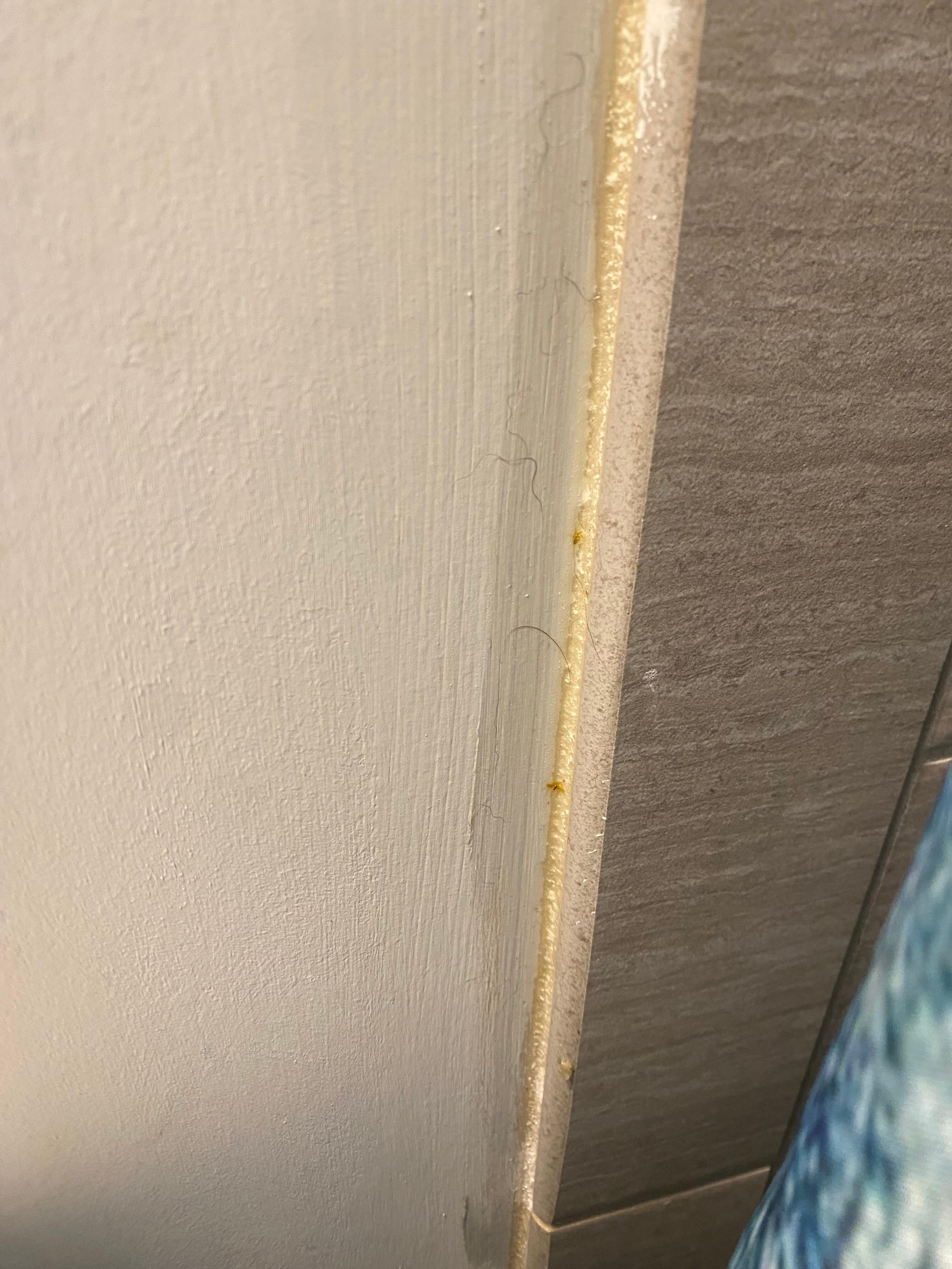 Pubic hair on wall near bathroom sink