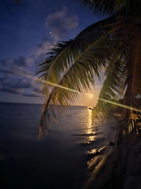 The full moon coming up thru the palms at night from the property.