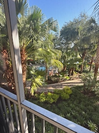 Pool view