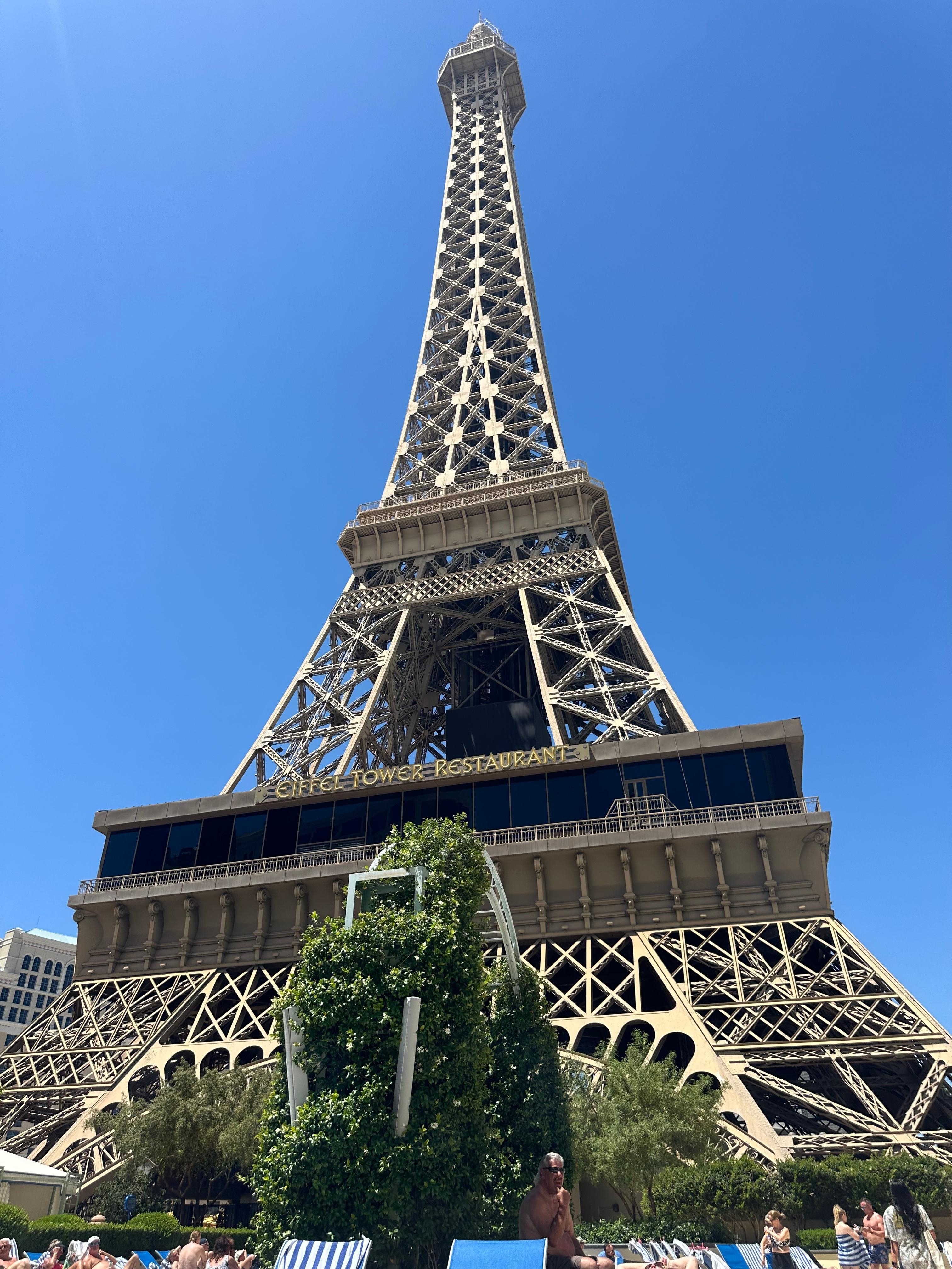 View from sitting poolside